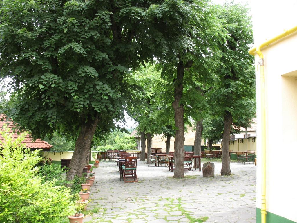 Pensiunea Sub Cetate Cisnădie Extérieur photo