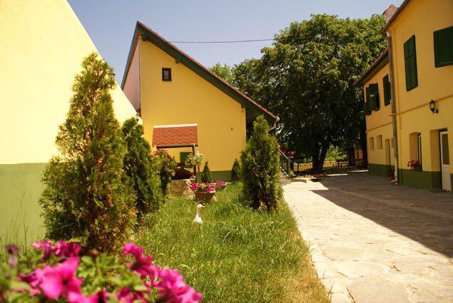 Pensiunea Sub Cetate Cisnădie Extérieur photo